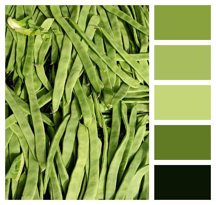Green Beans Food Factory Beans Beans Image